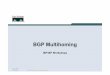 BGP Multihoming - ftp.registro.br