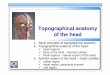 Topographical Anatomy of the Head ENG - Lazarov