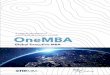 Global Executive MBA - Rotterdam School of Management 