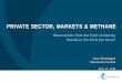 PRIVATE SECTOR, MARKETS & METHANE