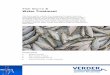 Fish Slurry & Water Treatment - Verderliquids