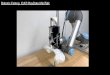 Robotic Felting: ICAT PlayDate MiniTalk