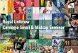 Royal Unibrew Carnegie Small & Midcap Seminar