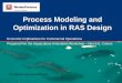 Process Modeling and Optimization in RAS Design