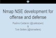 Nmap NSE development for offense and defense