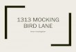 1313 Mocking Bird Lane - Bucks