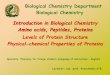 Introduction in Biological Chemistry Amino acids, Peptides 