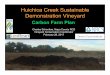 Huichica Creek Sustainable Demonstration Vineyard