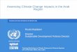 Assessing Climate Change Impacts in the Arab Region