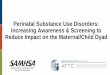 Perinatal Substance Use Disorders: Increasing Awareness 