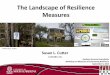 The Landscape of Resilience Measures