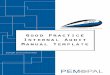 Internal Audit Manual Template - IIA