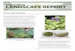 Foliar Nematodes - Purdue Landscape Report