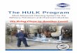 Engineered Chemistries LABELING: The HULK Program SAFETY 
