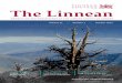 Linnean Vol 31 2 Oct 2015 FINAL - ca1-tls.edcdn.com