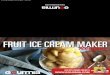 Gourmia Fruit Ice Cream Maker Recipes
