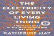 The Electricity of Every Living Thing v3