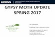 GYPSY MOTH UPDATE SPRING 2017 - University of Connecticut