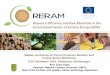 Resource Efficiency and Raw Materials in the Forest-based 