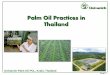 Palm Oil Practices in Thailand - Univanich