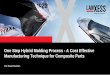 One Step Hybrid Molding Process - A Cost Effective 
