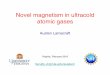 Novel magnetism in ultracold atomic gases