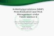 N-Methylpyrrolidone (NMP) Risk Evaluation and Risk 