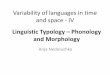 Variability of languages in time and space