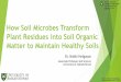 How Soil Microbes Transform Plant Residues into Soil 