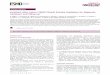 Localised colon cancer: ESMO Clinical Practice Guidelines 