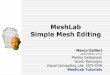 MeshLab Simple Mesh Editing - CNR