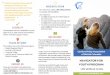 Navigator Brochure - Cerebral Palsy Association of BC