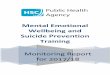 Mental Emotional Wellbeing and Suicide Prevention Training