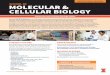 SCHOOL OF MOLECULAR & CELLULAR BIOLOGY