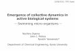 Emergence of collective dynamics in active biological systems