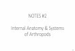 NOTES #2 Internal Anatomy & Systems of Arthropods