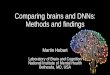 Comparing brains and DNNs – methods and findings