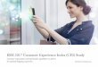 IBM 2017 Customer Experience Index (CEI) Study