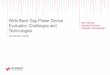 Wide Band Gap Power Device Evaluation Challenges and 
