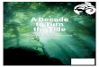 A Decade to Turn the Tide - Ocean Wise