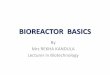 BIOREACTOR BASICS