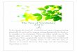 The Tree of Vocabulary ىأر - WordPress.com