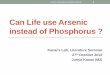 Can Life use Arsenic instead of Phosphorus