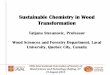 Sustainable Chemistry in Wood Transformation