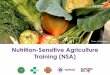 Nutrition-Sensitive Agriculture Training (NSA)