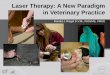 Laser Therapy: A New Paradigm in Veterinary Practice