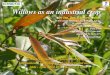 Willows as an industrial crop - energieautark