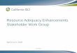 Resource Adequacy Enhancements Stakeholder Work Group