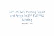 38th EVE IWG Meeting report - UNECE Wiki