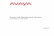 Avaya Call Management System Call History Interface